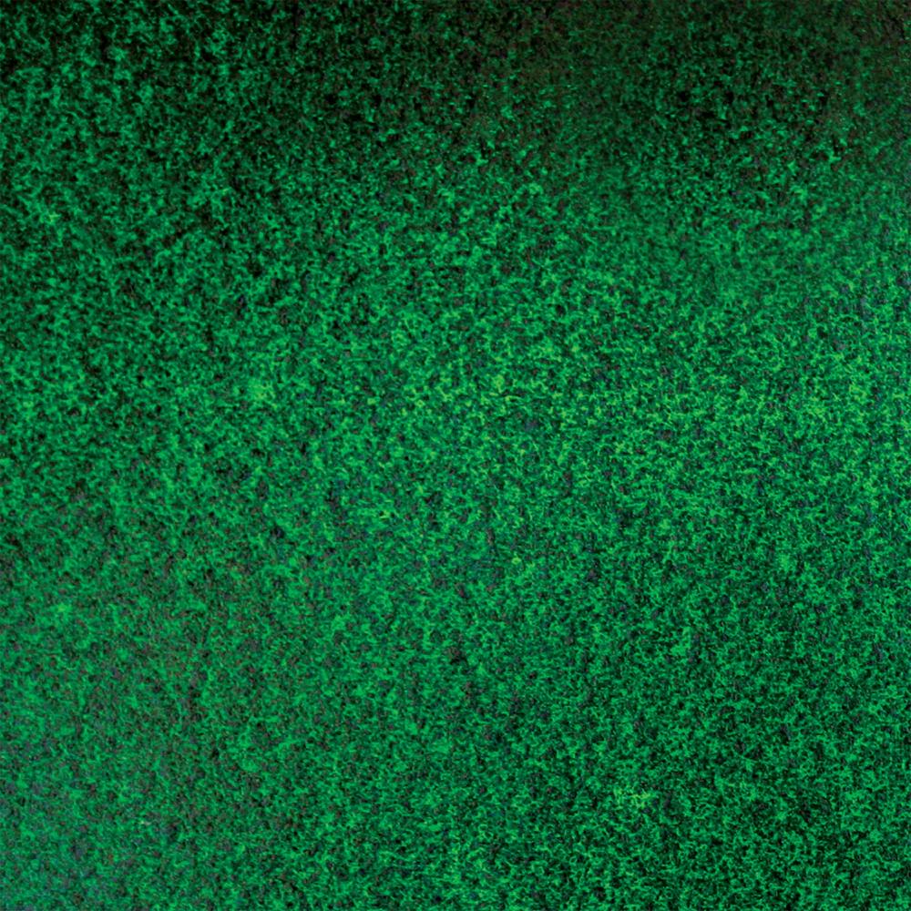 Texture 4